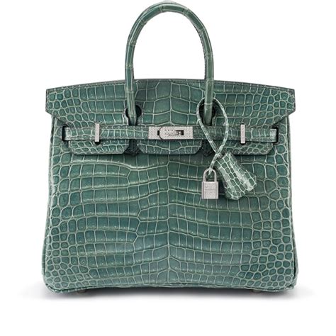 borsa asparagi hermes|The Top 6 Most Expensive Hermès Birkin Bags.